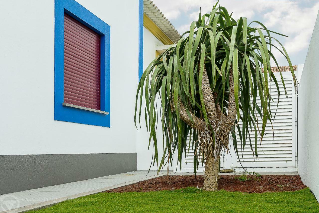 Casa Do Pequeno Dragoeiro Villa Angra do Heroísmo Buitenkant foto